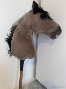 Hobby horse - 2