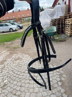 Uzděcka - 2