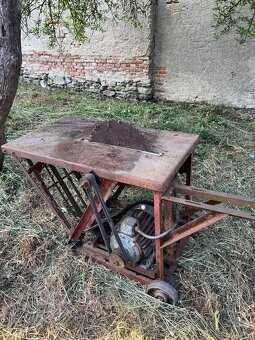 Cirkularka velka - 2