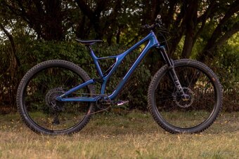 Specialized Stumpjumper CF Comp - 2