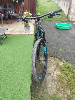 29" SILVERBACK 2020 Sola 3 - 18"/M - 2