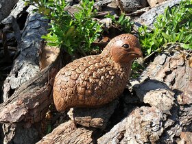 Zahradní dekorace - křepelka velká,ptáček - 2