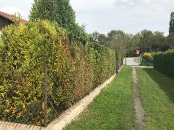 K prodeji zděná chata Nymburk. - 2