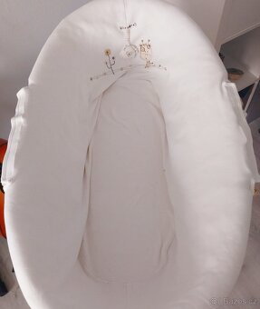 Mojžíšův koš - 2