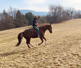 Parťák pro zkušeného - 2