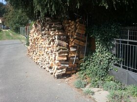 prodám suché dřevo Dub do krbu  90% Dub - 2