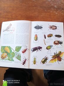 Kniha encyklopedie zvířat - 2