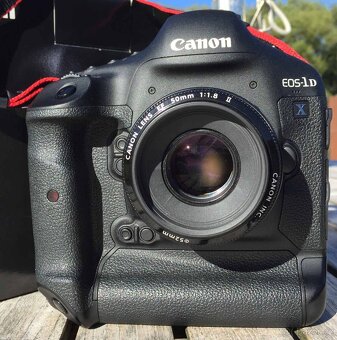 Canon EOS-1DX + 50mm 1.8 II - 2