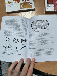 Obecná biologie - 2