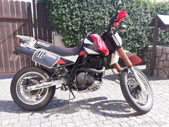 SUZUKI DR 650 DJEBEL - 2