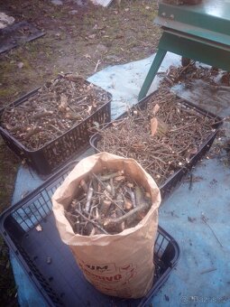 prodám dřevo vhodné na uzení - 2