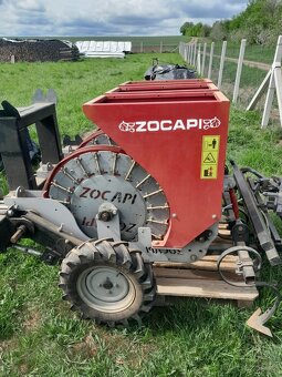 Prodam sazec cesneku - 2