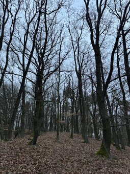 Prodej pozemků k.ú. Libečov - 2