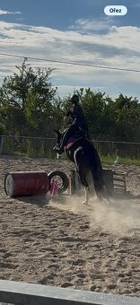 Pony - 2