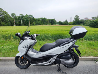 Honda Forza 300, původ ČR, perfektní stav - 2