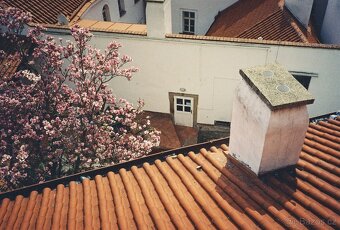 Olympus XA - 2