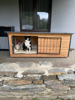 Zateplená psí bouda - 2