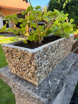 Kamenný květináč - 2