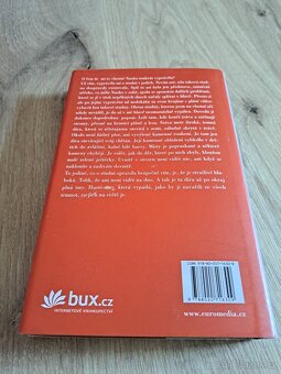 Norské dřevo , Murakami - 2