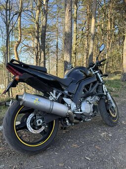 Suzuki SV 1000 N - 2