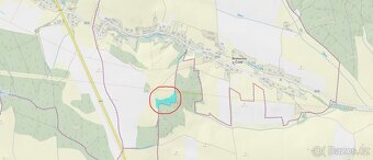 Prodám lesní pozemky v k.ú. Bukovina u Čisté. - 2