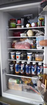 LEDNICE S MRAZÁKEM SAMSUNG - 2