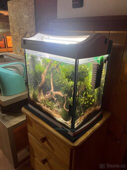 Akvária - 2
