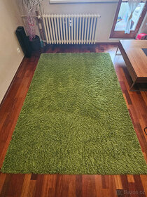 zelený koberec - 2