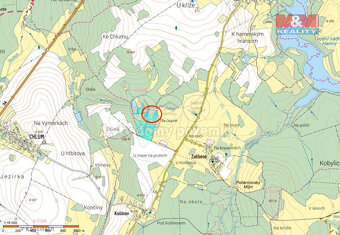 Prodej les 11445 m2, Studnice - 2