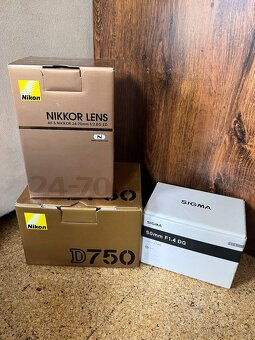 Nikon D750 + 24–70 mm f/2.8 + Sigma 50 mm f/1.4 ART - 2