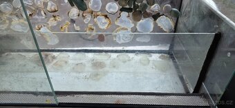 Terarium - paludarium + příslušenství - 2