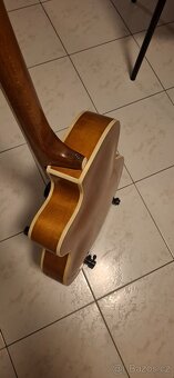 Nemecka gibsonka - 2