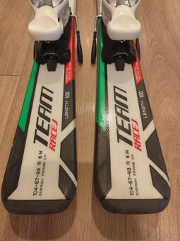 Lyže Nordica 100 - 2