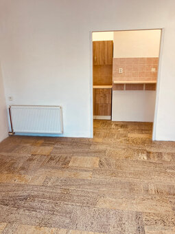 Pronájem garsonky Cheb - 2