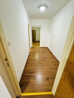 Nabízím pronájem bytu 2+1 Nejdek - 2