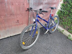 Dívčí horské kolo - 2