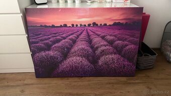 Fotoobraz - Levandulové pole - 2