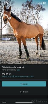 Chladící kamaše pro koně - 2