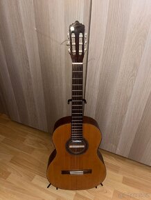 Kytara Veelah + futrál - 2
