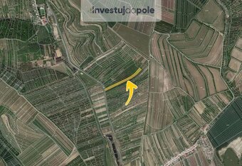 Prodej louky v k.ú. Němčičky u Hustopečí - 2
