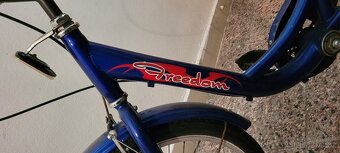 tříkolka Freedom pro dospělé - 2