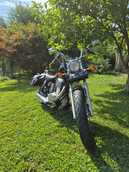 Suzuki LS 650 Savage - 2