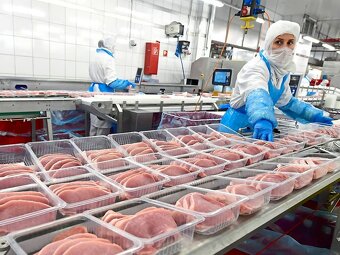 DĚLNÍKY DO ZÁVODU NA SALÁMY V RAKOUSKU - 2