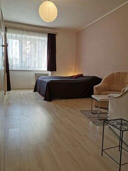 Pronájem bytu v Olomouci 1+1 - 2