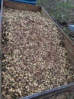 Drevni Stepka-Jabloň - 2