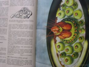 Kuchařka Vrabec - 2