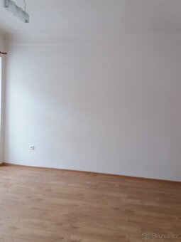 Pronajem bytu 2+1 - 2