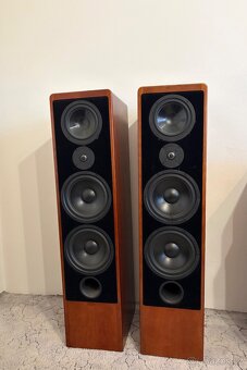 Canton Ergo RC-L - 2