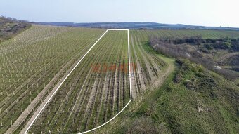 Prodej sadu, vinice 11748 m² - 2