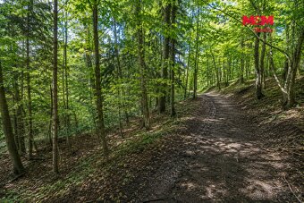 Prodej lesa, 6855 m², Jestřebí - 2